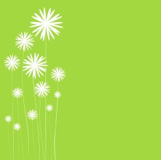 Puff flowers on green background N2
