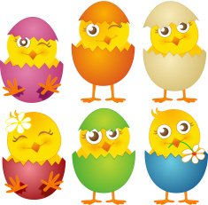 Young Birds Easter Chicks Vector Illustration Set