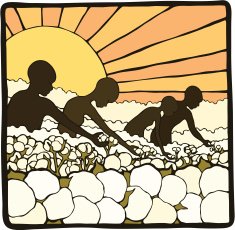 Picking Cotton N2