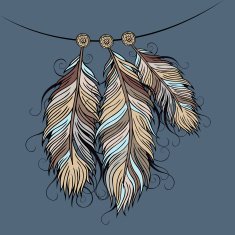 ethnic peacock Feathers N3