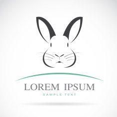 Vector image of an rabbit
