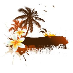 Vector palms dolphins plumeria flower N2