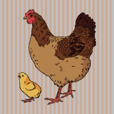 Realistic broody chicken and baby chick side view N2