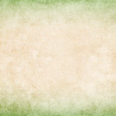 Blank grunge canvas background N9