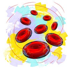 Red Blood Cells N5