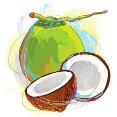 Fresh Coconut