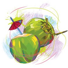 Fresh Coconut N2