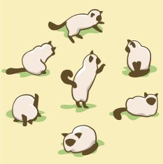 Kitty Collection 01