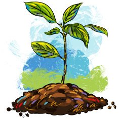 small plant N3