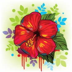 Beautiful Hibiscus Flower N2