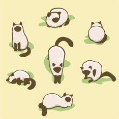Kitty Collection 02