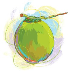 Fresh Coconut N5