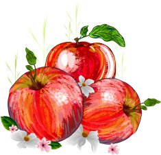 Beautiful Red Apple N5
