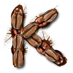 Capital Letter K created by Coffee beans N2