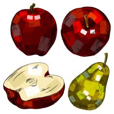Fresh Fruits isolated on white N6