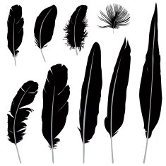 Feather silhouette collection N2