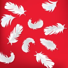 Red abstract background with feathers N2