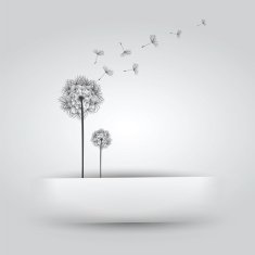 Dandelion in Paper Slit N2