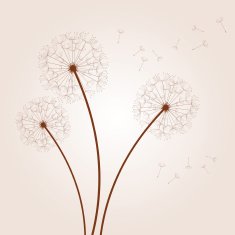 vector dandelion background N2