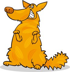 happy yellow shaggy standing dog