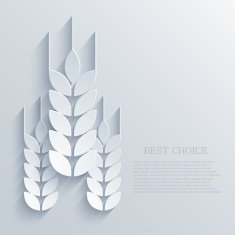 Vector wheat background Eps10