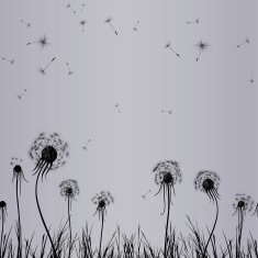 Dandelion wind in grass flower vector