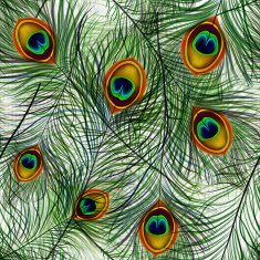 Peacock Feather Seamless Background