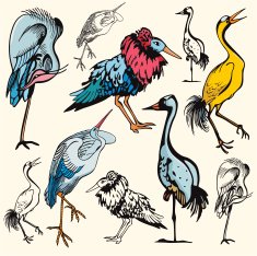 Bird Illustrations X Storks (Vector)