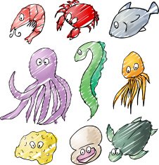 Sea Creatures N18