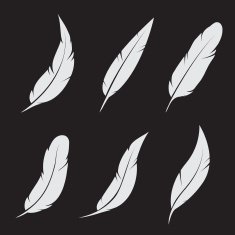 Vector group of feather N6