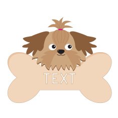 Glamour tan Shih Tzu dogÂs head and big bone Isolated