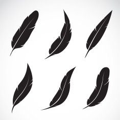 Vector group of feather N7