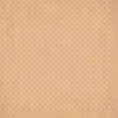 Hipster vintage retro background 7 N2