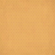Hipster vintage retro background 4 N2