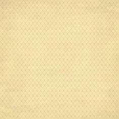 Hipster vintage retro background 1 N2