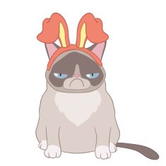 Cat Alya hare ears N2