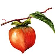 sweet persimmon