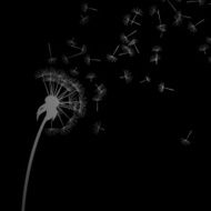 Vector Dandelion N5