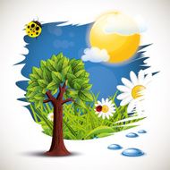 Tree in the summer