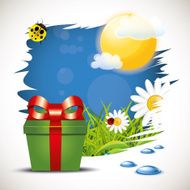 Summer Gift