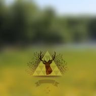 Vector landscape nature web and mobile template Corporate webs N3
