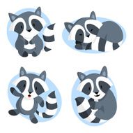 Raccoon N13