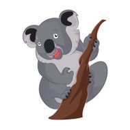 Koala N15
