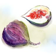 sweet fig
