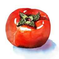 sweet persimmon N2