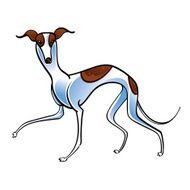 whippet N2