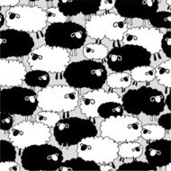 pretty sheep N8