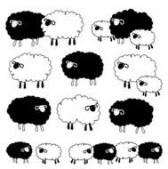 pretty sheep N11