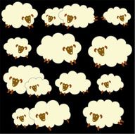 pretty sheep N12