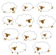 pretty sheep N14
